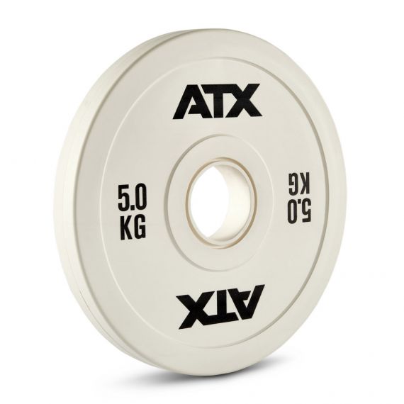 Levypaino fractional kumitettu 5 kg