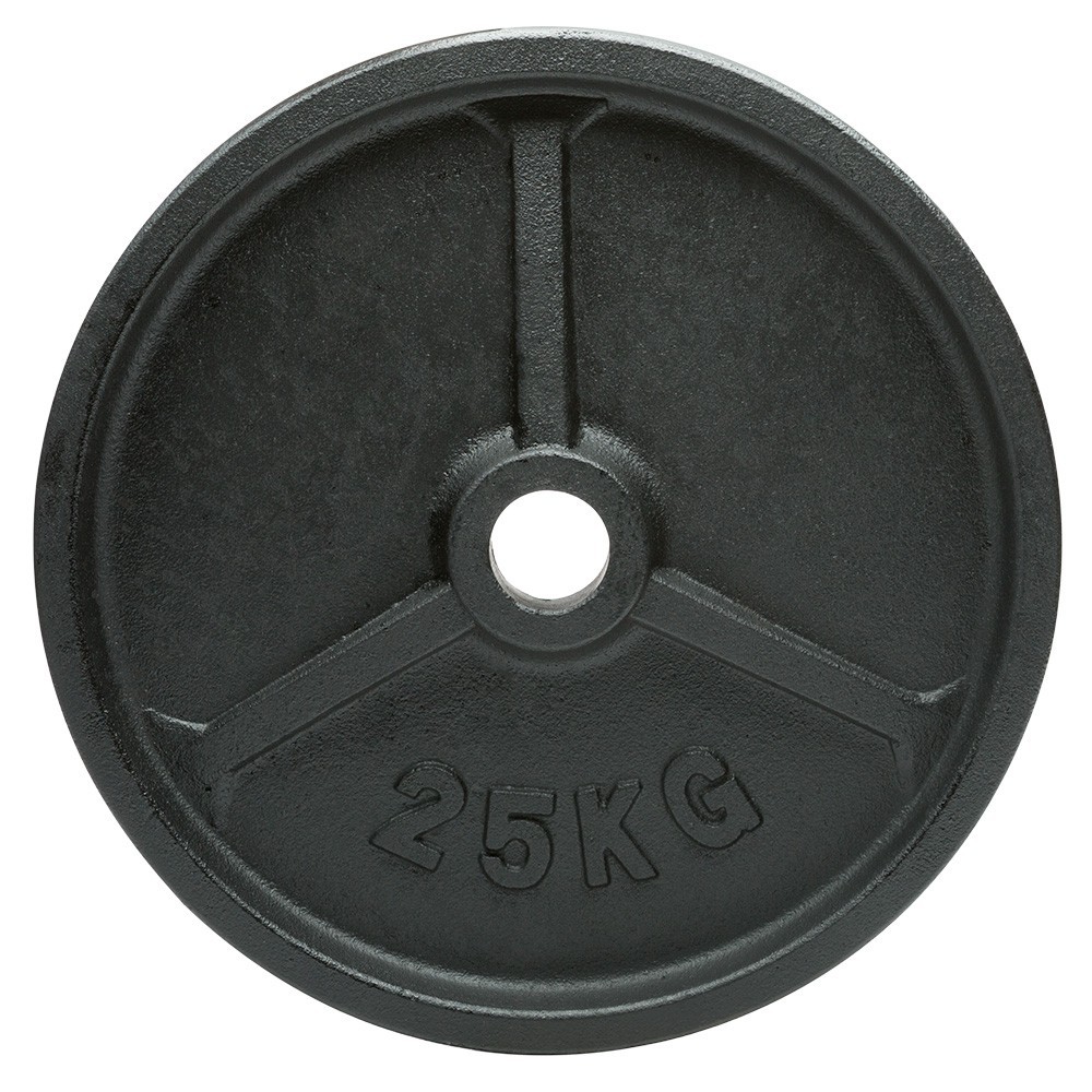 Levypaino rauta 25 kg / 50 mm