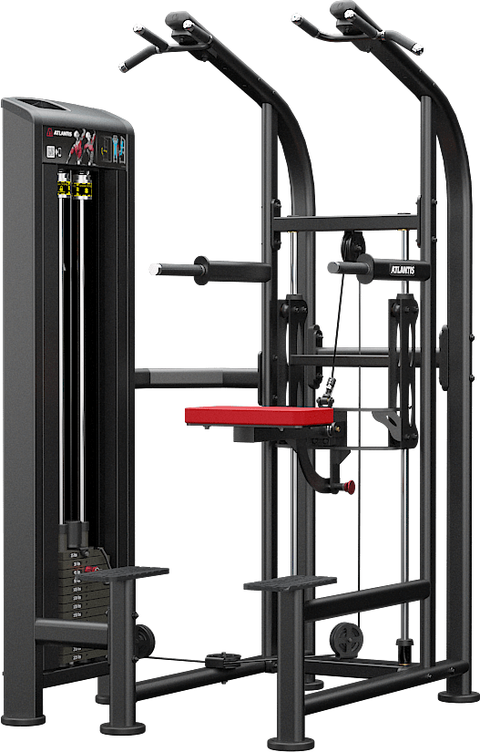 Atlantis Assisted Chin/Dip D131