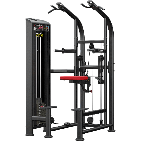 Atlantis Assisted Chin/Dip D131