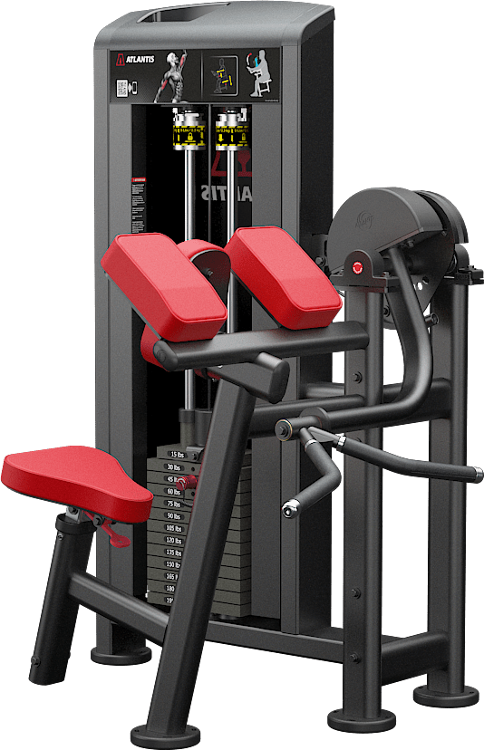 Atlantis Biceps Curl B157