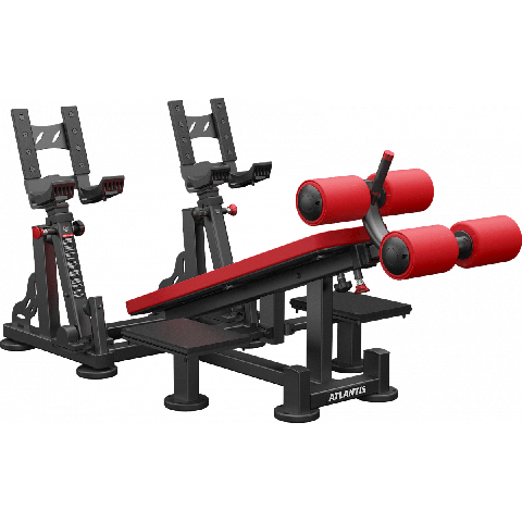 Atlantis Decline dumbbell bench (with pivots) P539