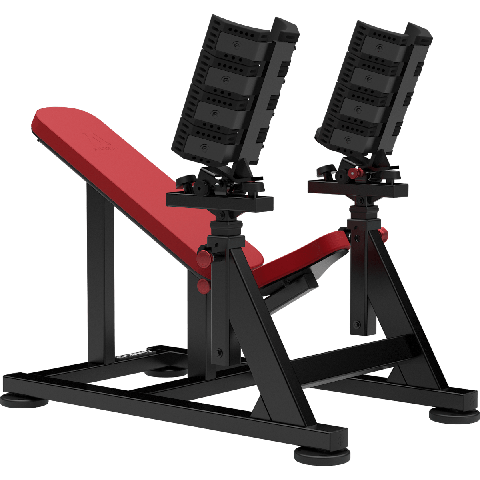 Atlantis Incline dumbbell bench (with pivots) P538