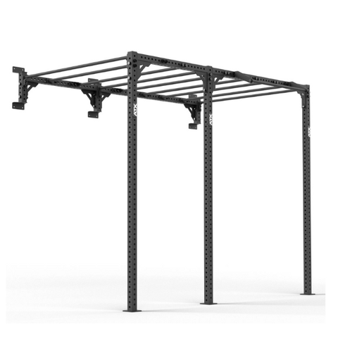 ATX® Functional WALL RIG 700 - Ladder 2