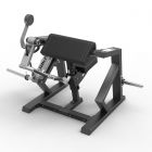 Spirit BICEPS CURL hauiskääntölaite SP-4513