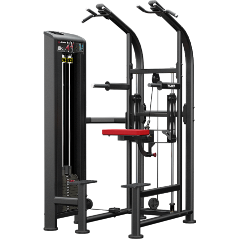 Atlantis Assisted Chin/Dip D131