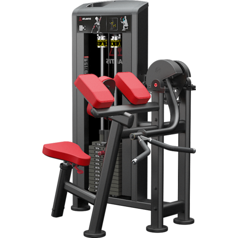 Atlantis Biceps Curl B157