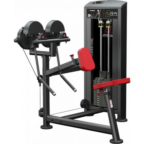 Atlantis Seated Side / Rear Deltoid E352