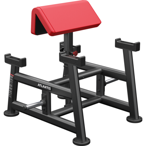 Atlantis Standing Preacher Curl B155