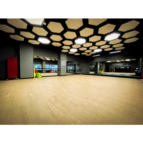 Paviflex action eco special color