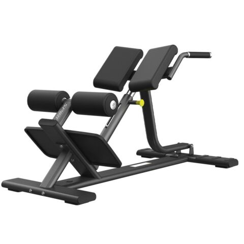 Spirit SP75 BACK EXTENSION BENCH selänojennuspenkki