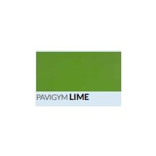 Pavigym Endurance palamatto 90x90x0,7 cm - Lime