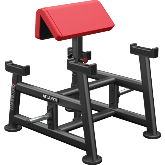 Atlantis Standing Preacher Curl B155