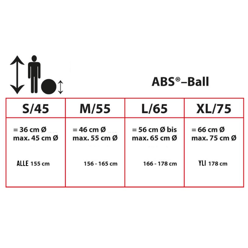 Togu Powerball® Premium ABS® - silver 55 cm