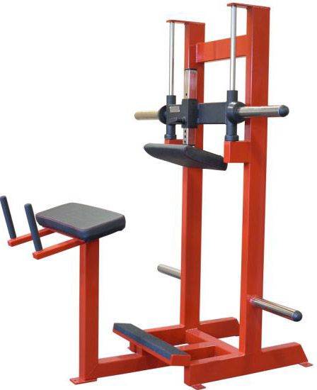 Plate Load Donkey Calf Raise
