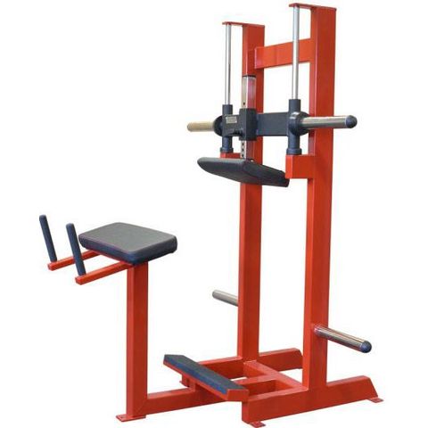 Plate Load Donkey Calf Raise